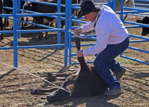 A Calf-Roping demo was included in the Clinic.